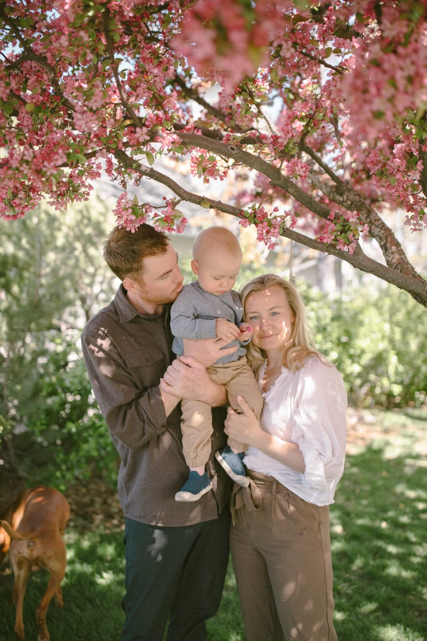 Family photography