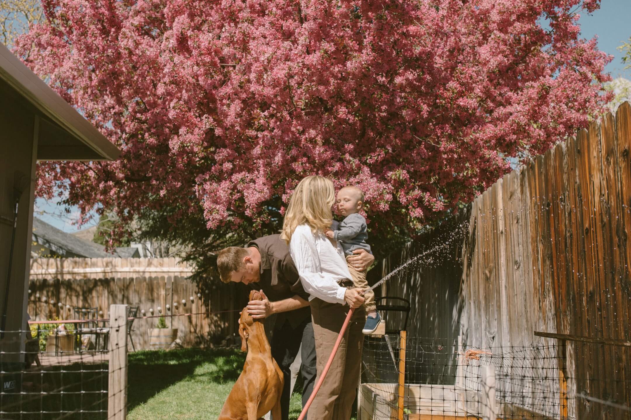Family photography in the Cole family's backyard