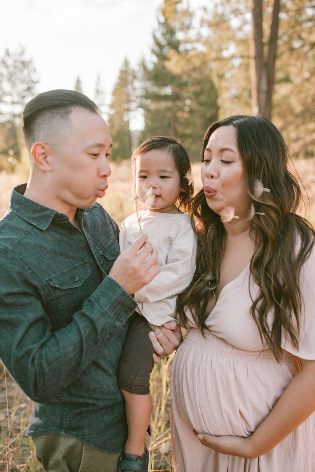 Family, Newborn, Maternity Session Final Payment